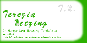 terezia metzing business card